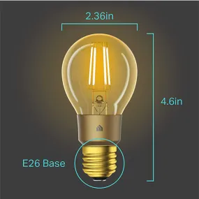 Kasa Smart Wi-Fi LED Bulb by TP-Link, Filament A19 E26 Smart Light Bulb, (KL60)